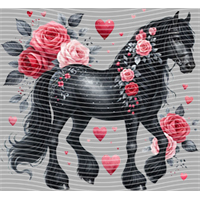 Valentine's Day-QRJ  5868